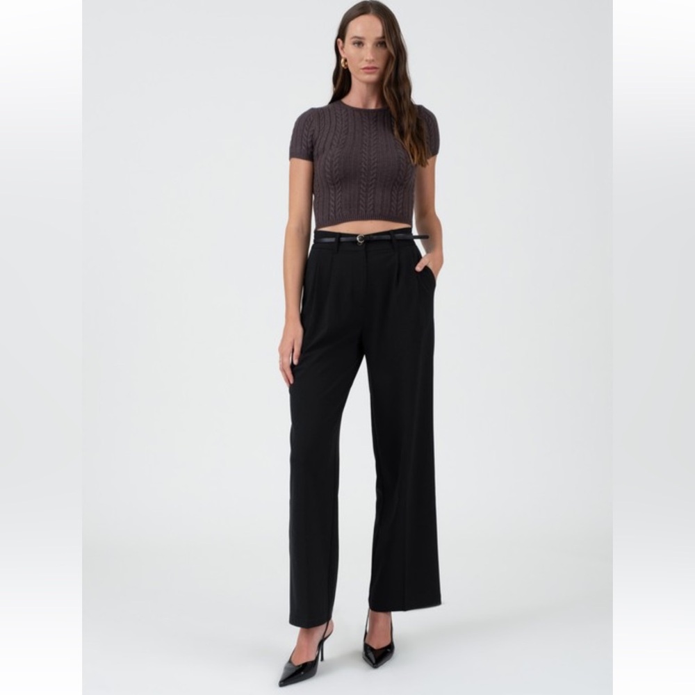 The Workshop High Waist Pleated Wide Leg Dress Pants Black